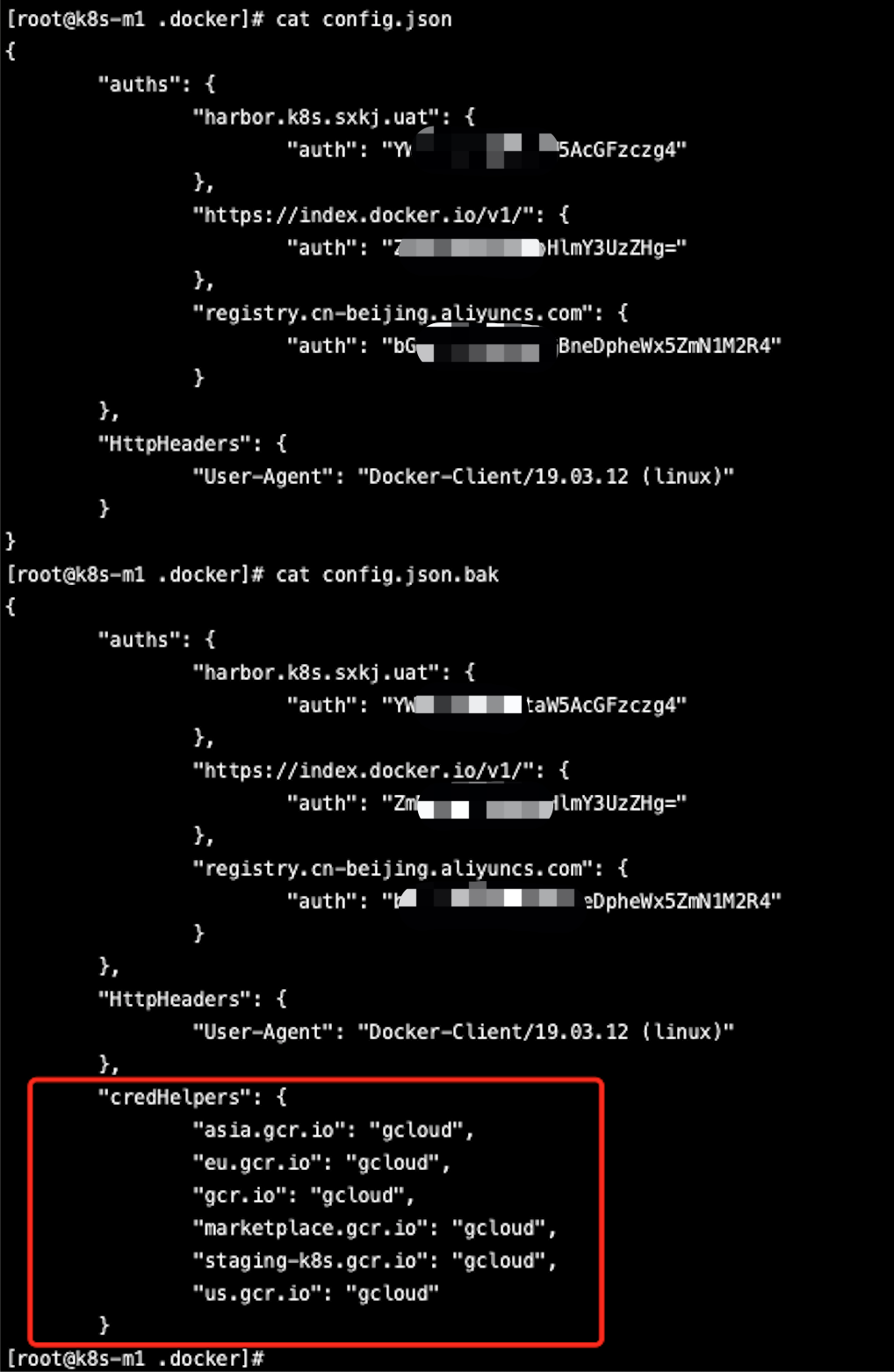config.json 文件对比